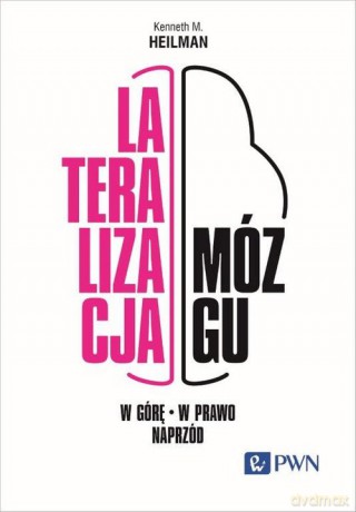 Lateralizacja mózgu W górę - w prawo - naprzód - Kenneth M. Heilman [KSIĄŻKA]