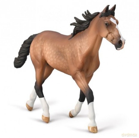Ogier standardbred maści gniadej