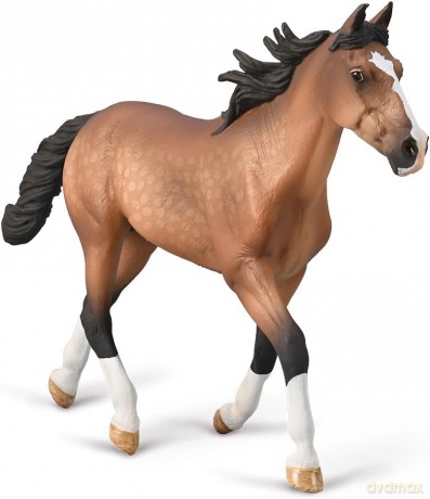 Ogier standardbred maści gniadej