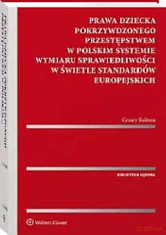 Prawa dziecka pokrzywdzonego przestępstwem w polskim systemie wymiaru sprawiedliwości w świetle standardów europejskich - Cezary Kulesza [KSIĄŻKA]