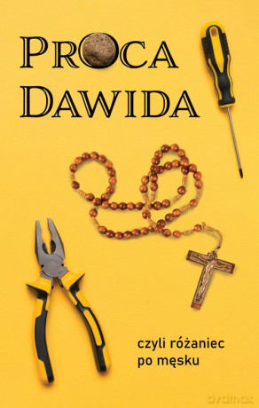 Proca Dawida [KSIĄŻKA]