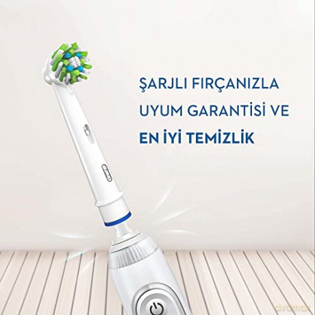 Oral-B - CrossAction 8CT
