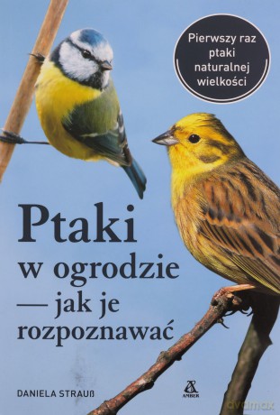 Ptaki w ogrodzie - jak je rozpoznawać - Daniela Strauss [KSIĄŻKA]