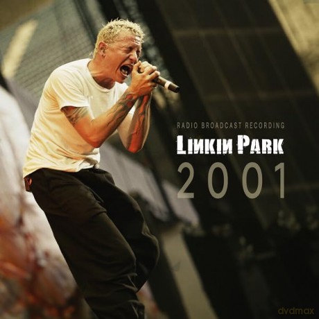 Linkin Park: 2001 [Winyl]