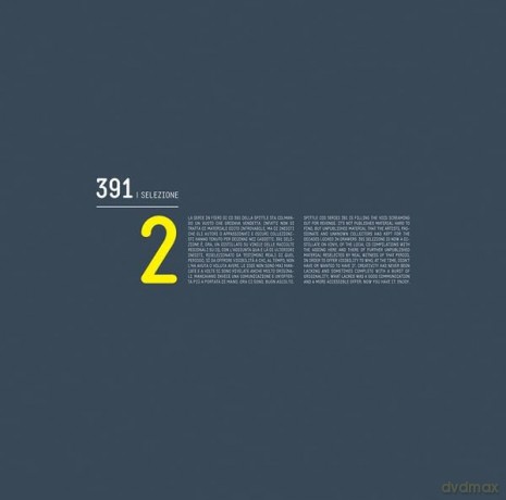 391 Selezione 2 [Winyl]