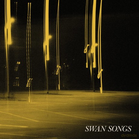 Swan Songs: A Different Kind Of Light [Winyl]