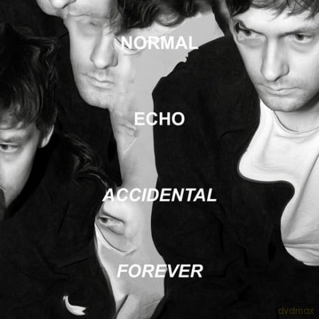Normal Echo: Accidental Forever [Winyl]