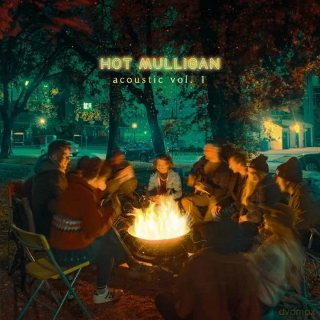 Hot Mulligan: Acoustic Vol.1, 2 [Winyl]