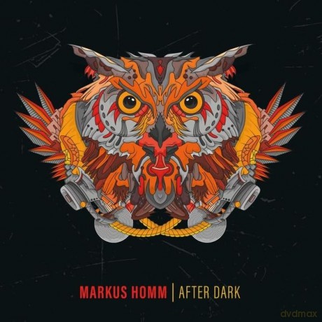 Markus Homm: After Dark [2xWinyl]