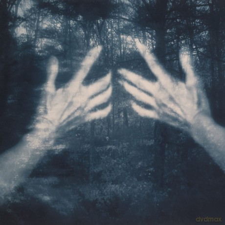 Silva Susana Santos: All The Birds And A Telephone Ringing [Winyl]