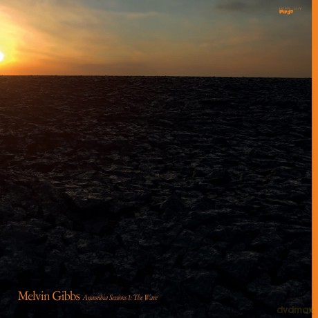 Melvin Gibbs: Anamibia Session 1 The Wave [Winyl]