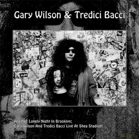 Gary Wilson: Another Lonely Night In Brooklyn [Winyl]