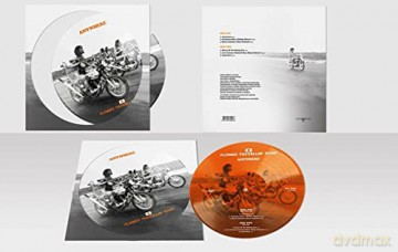 Flower Travellin Band: Anywhere [Winyl]