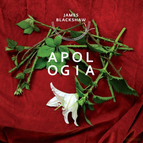 James Blackshaw: Apologia [Winyl]