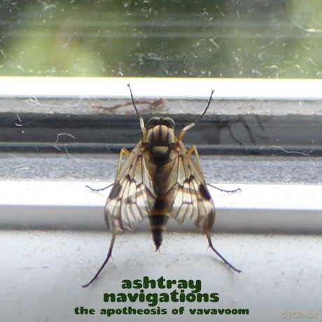 Ashtray Navigations: Apotheosis Of Vavavoom [Winyl]