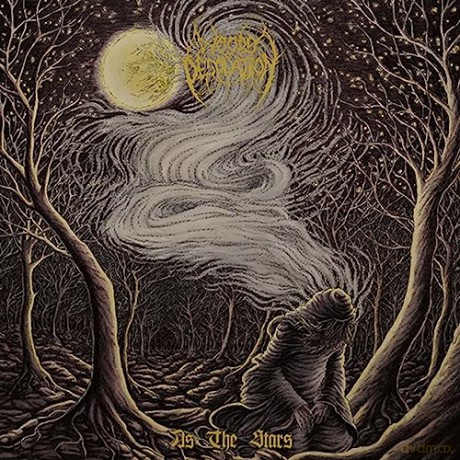 Woods Of Desola: As The/Sil [Winyl]