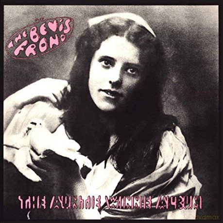 The Bevis Frond: Auntie Winnie Album [2xWinyl]