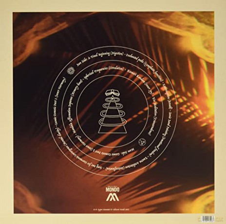 Thunder Tillman: Aural Healing Program For Peace And Longevity [Winyl]