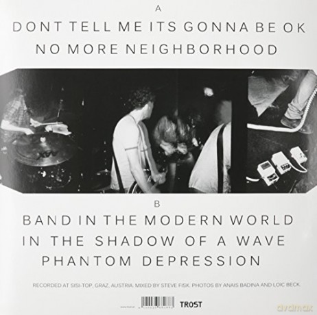 Tv Buddhas: Band In The Modern World [Winyl]