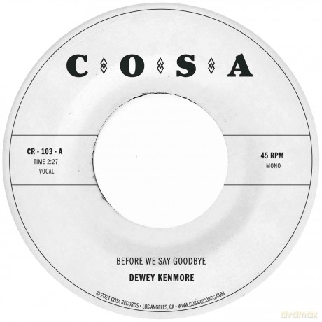 Dewey Kenmore: Before We Say Goodbye [Winyl]