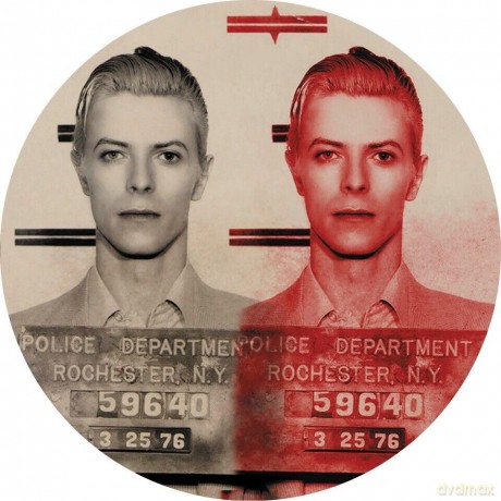 David Bowie: Best Of Live (Picture) [Winyl]