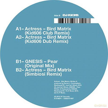 Actress: Bird Matrix [Winyl]
