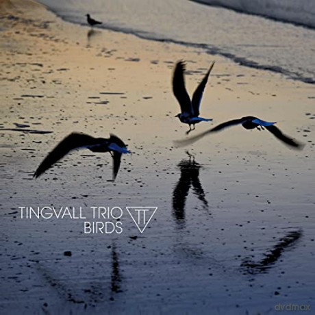 Tingvall Trio: Birds [Winyl]
