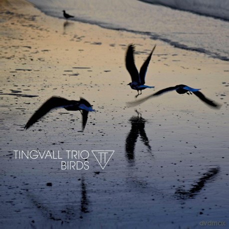 Tingvall Trio: Birds [Winyl]