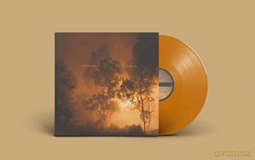 Watchhouse: Blindfaller (Clear Orange) [Winyl]