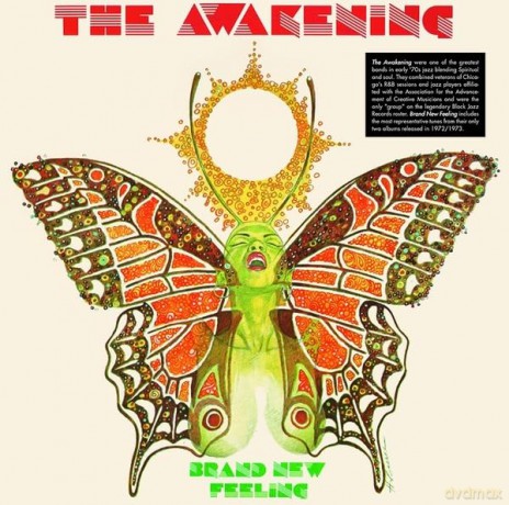 Awakening: Brand New Feeling [Winyl]