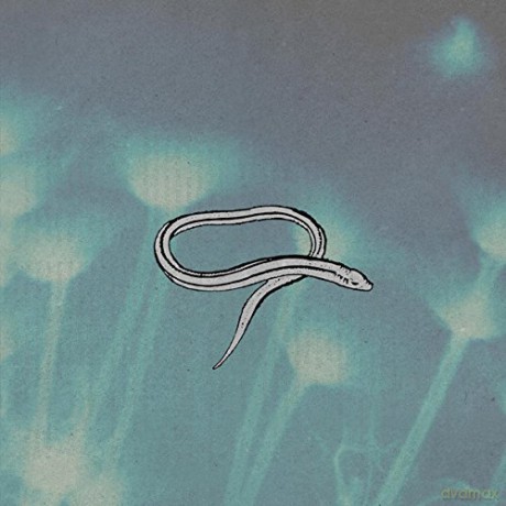 Crooked Fingers: Bring On The Snakes (Reissue) [Winyl]