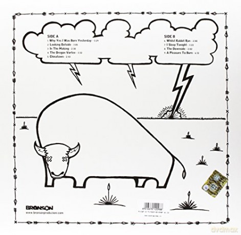 Micah P. Hinson: Broken Arrows [Winyl]