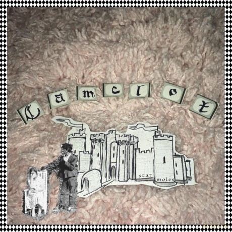 Star Moles: Camelot [Winyl]