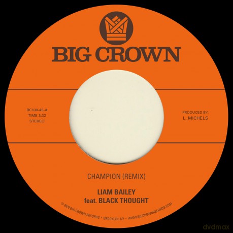Liam Bailey: Champion (Remix) Feat. Black Though/Ugly Truth (Remix) Feat. [Winyl]