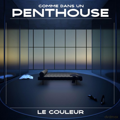 Le Couleur: Comme Dans Un Penthouse [Winyl]