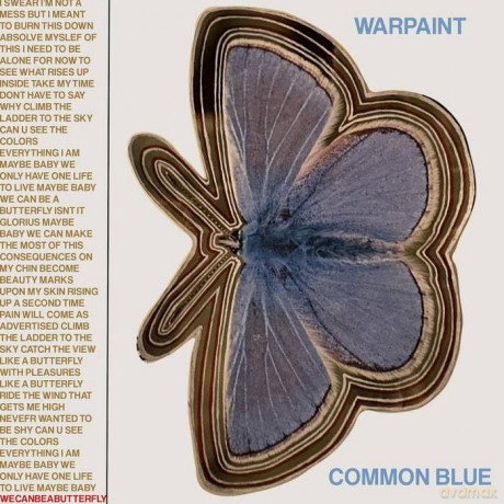 Warpaint: Common Blue/Underneath [Winyl]