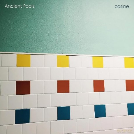 Ancient Pools: Cosine [Winyl]