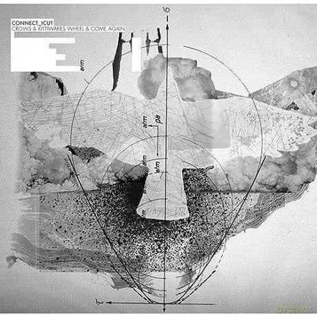 Connect Icut: Crows & Kittiwakes Wheel & Come Agai [Winyl]