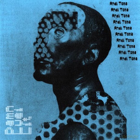 Andi Toma: Damn Lieu Lit (Picture) [Winyl]