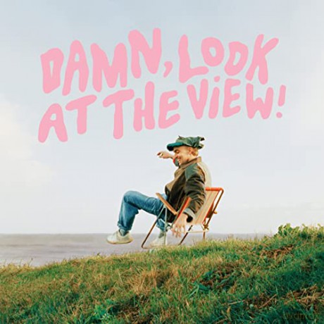 Martin Luke Brown: Damn Look At The View [Winyl]