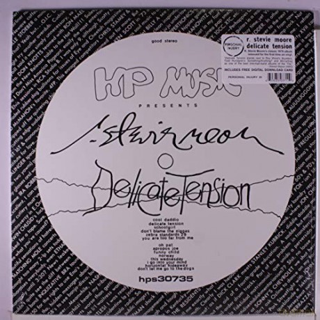 R Stevie Moore: Delicate Tension [Winyl]