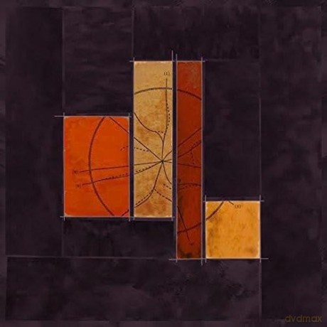 Fictonian: Desire Lines [Winyl]