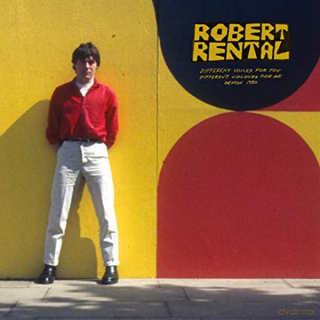 Robert Rental: Different Voices For You. Diff [Winyl]