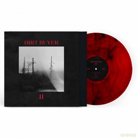 Dirt Buyer: Dirt Buyer II -Coloured- [Winyl]
