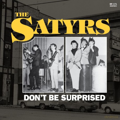 The Satyrs: Don't /Yel [Winyl]