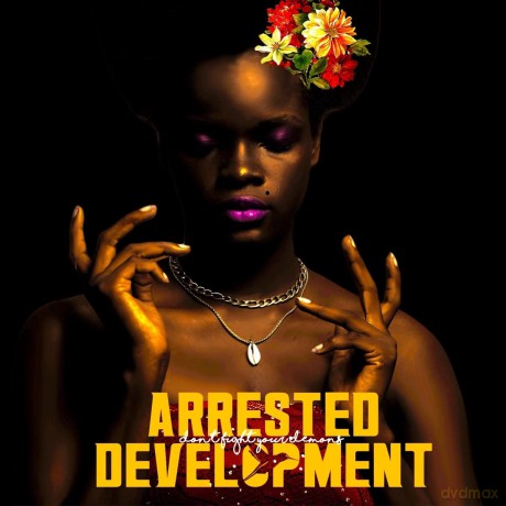 Arrested Development: Don't Fight Your Demons [Winyl]