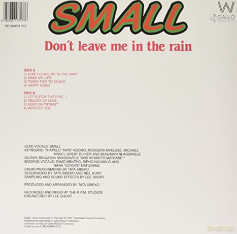 Small: Don't Leave Me In The Rain [Winyl]