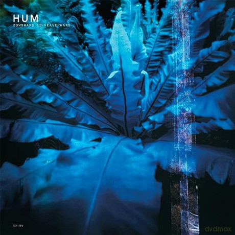 Hum: Downward I [2xWinyl]