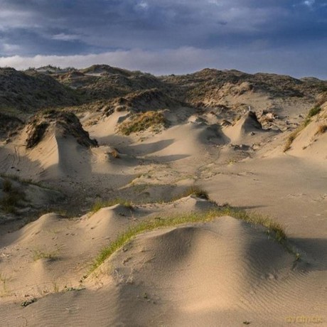 White Manna: Dune Worship [Winyl]