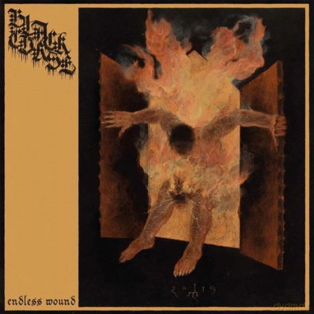 Black Curse: Endless Wound (Black) [Winyl]